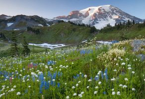 Sharon \"Sharie\" Fry