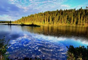 Lyle \"Buckshot\" Reich