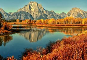 William \"Bill\" Lucht