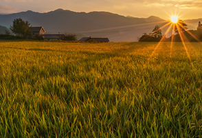 Jeffrey \"Jeff\" Baumann