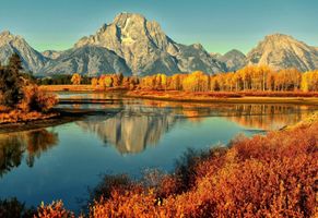 William \"Bill\" McCarthy