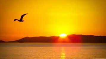 William \"Bill\" Belgarde