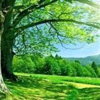 Katherine \"Kack\" Sandner