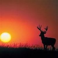 William \"Bud\" Keefe