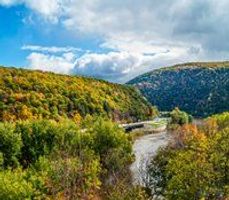 William \"Bill\" Guzek