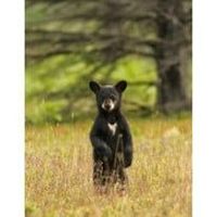 Michael \"Bonzo\" LaPrairie