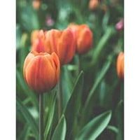 Margaret \"Peggy\" Unkelhaeuser