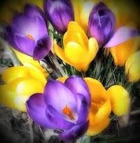 Patricia Sobaszkiewicz