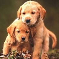 Zachariah \"\"Zach\"\" Tickner