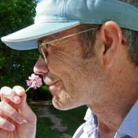 Donald \"Don\" Allan