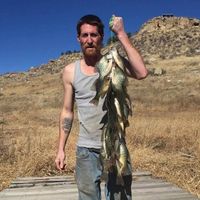 Joseph \"Joe\" Paulley