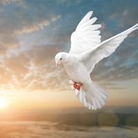 Roderick Neil Lawson, Sr.