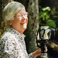 Phoebe Collins Olmsted