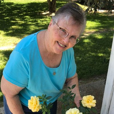 Linda Kay McComic