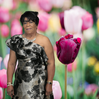 Dorothy Maud Walcott Irving