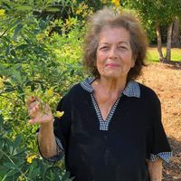 Carmen \"Maqui\" Valle Hieber