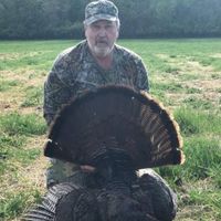 Clarence Switzer, Jr.