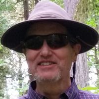 Vincent Riggs