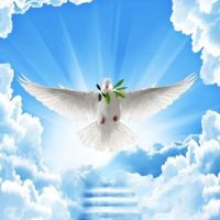 Alexia Zambrano Aparcedo