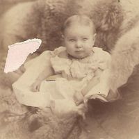 Viegh 'Violet' Gertrude Baptie