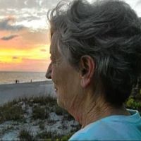 Donna Schacht