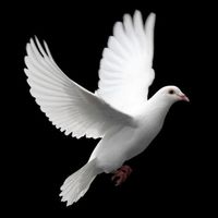 Algie \"Randy\" Watts