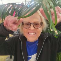 Pamela \"Pam\" Tomlinson