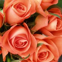 Bertha \"Bert\" Harper