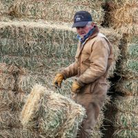 Patrick Ball Sr.(Grandpa)