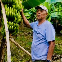 Fredy "Papa" Ancheta Martinez