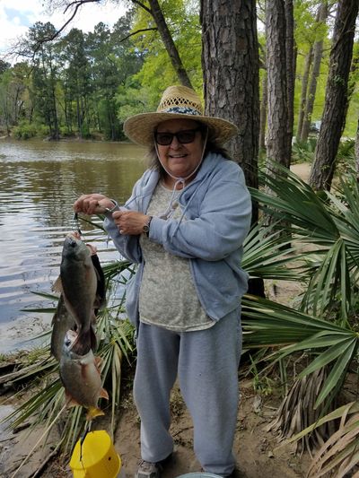Carolyn Carruth