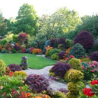 Angel Ramos-Montanez