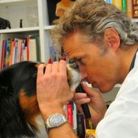 Luca Ferrero (Veterinarian)