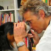 Luca Ferrero (Veterinario)