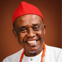 Ephraim Obinna Ihenacho, Mr.