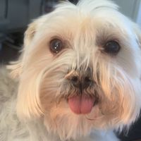 Wally "Wally" Wallace Fernandez