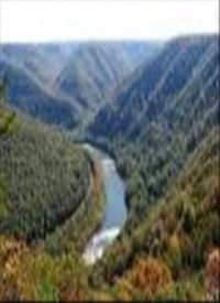 Wendell Phillips Jr.