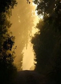 Victor Hernandez Jr.