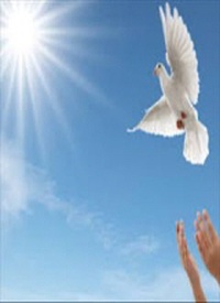 Steven Fortune-Crews